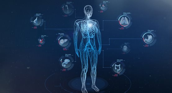 人體各大器官監護